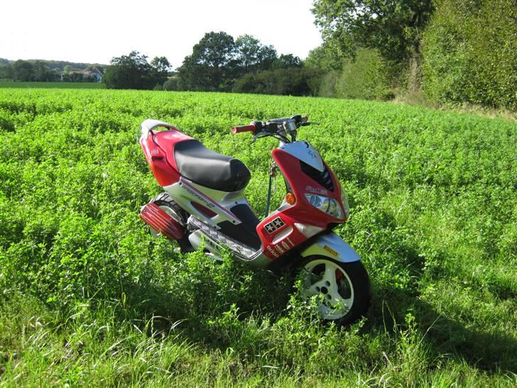 Peugeot sppedfight 2  ( solgt )  billede 17