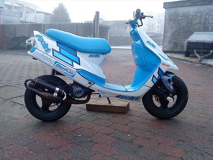 Kreidler Easy Rider EVO II AC SD billede 8