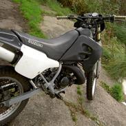 Suzuki Rmx [ MØGSVINET! ]