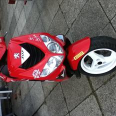 Peugeot SpeedFight 2 307 WCR