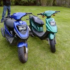 PGO Hot 50 ( PROJEKT )