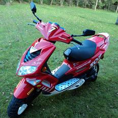 Peugeot Speedfight 2 wrc 307