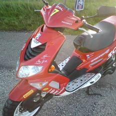 Peugeot Speedfight 2 wrc 307