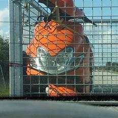 Yamaha Jog R ( SOLGT )