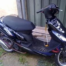 Giantco Sprint Sport