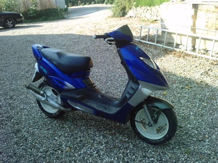 Adly Gazelle ( stjålet ) billede 1