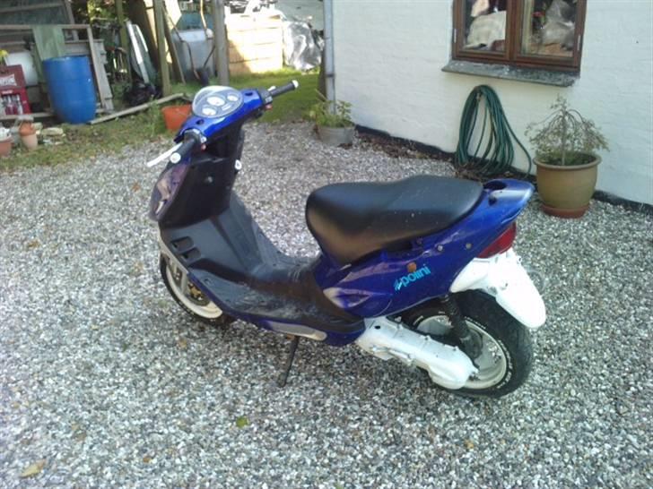 Adly Gazelle ( stjålet ) billede 2