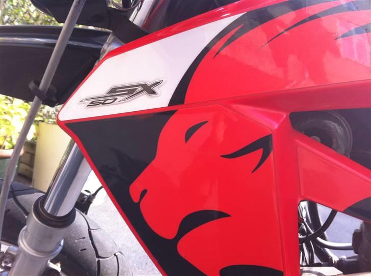 Aprilia SX billede 10