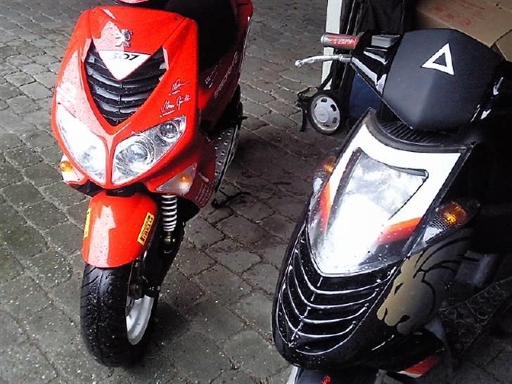 Peugeot SpeedFight 2 307 WCR billede 3