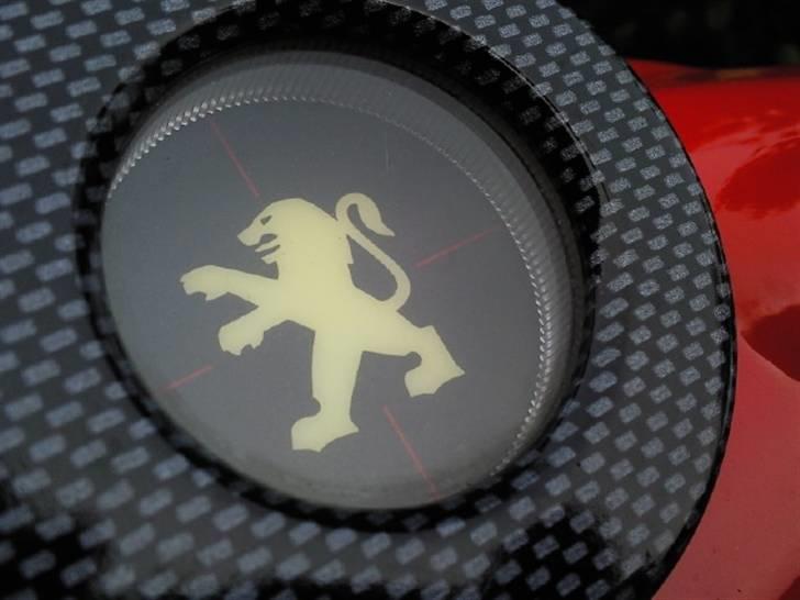 Peugeot SpeedFight 2 307 WCR billede 6