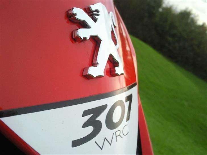 Peugeot SpeedFight 2 307 WCR billede 15