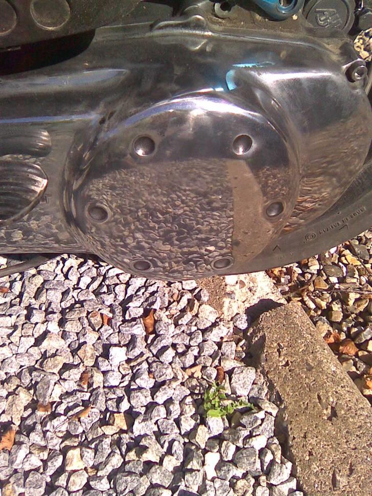 Peugeot Speedfight 2 (Bertha) - Uhhhmmm ;D billede 17