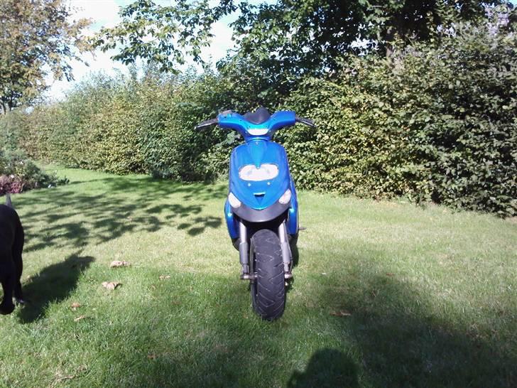 Gilera Stalker (byttet) billede 6