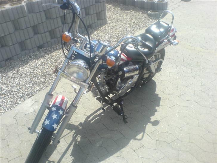 Regal raptor billede 1