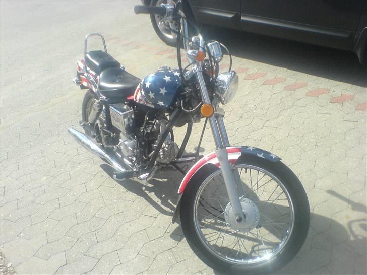 Regal raptor billede 2