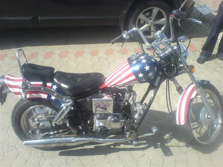 Regal raptor billede 3