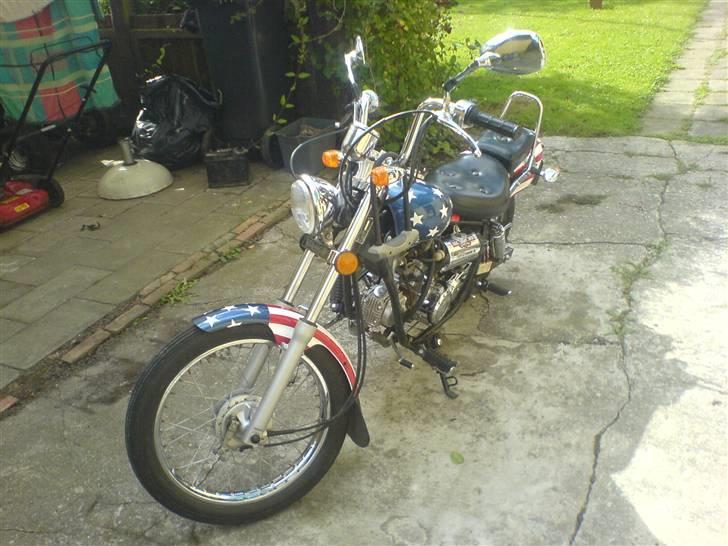 Regal raptor billede 4