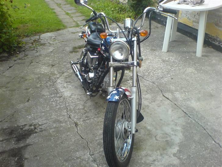 Regal raptor billede 5