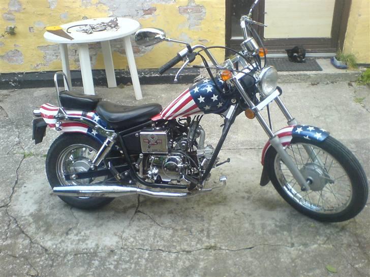 Regal raptor billede 6