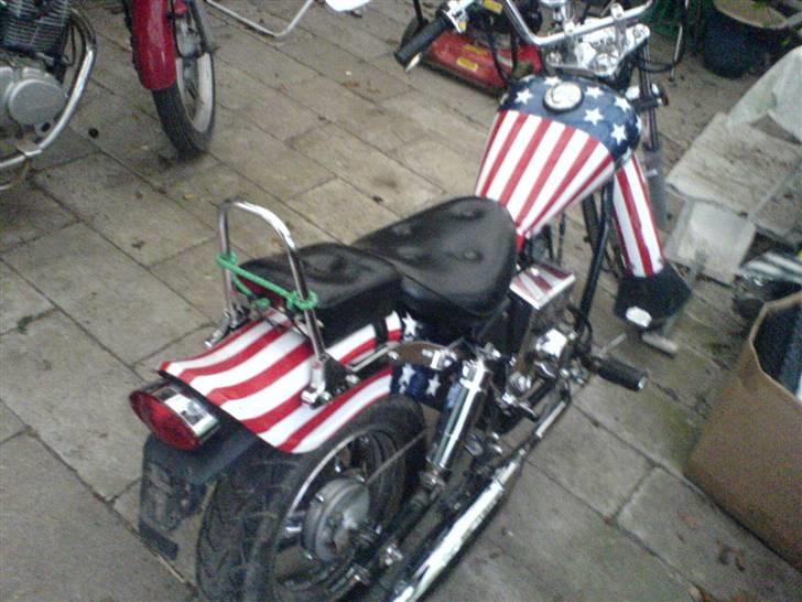 Regal raptor billede 7