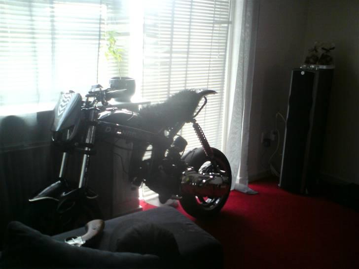 Suzuki Street magic LCDD  billede 1