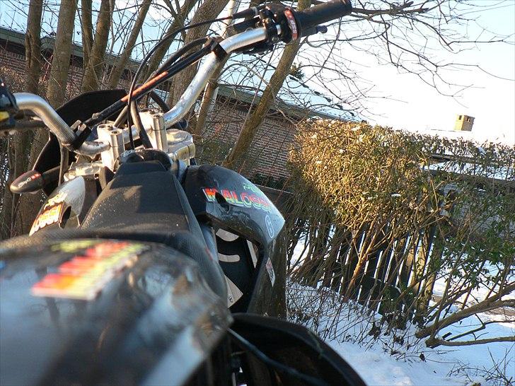 Xmotos XB31 Custom billede 20