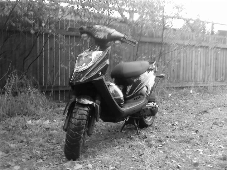 PGO Hot 50 billede 10