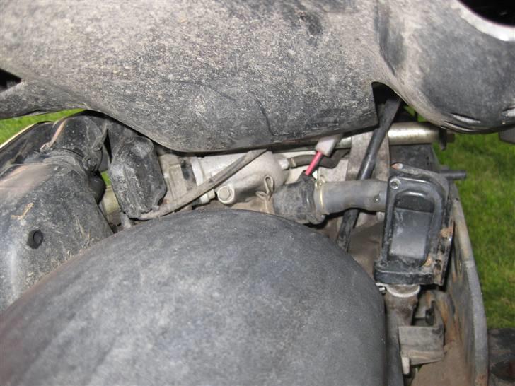 PGO PMX sport    TILSALG billede 9