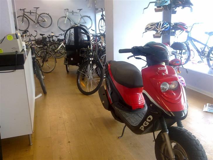 PGO hot 50  Solgt billede 3