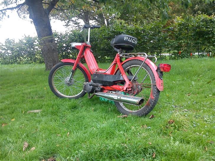 Puch Maxi Byttet billede 7