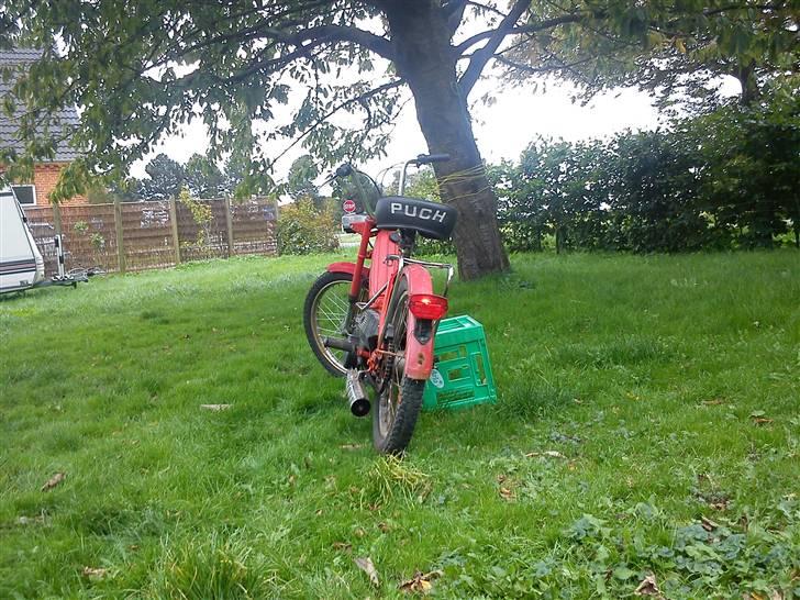 Puch Maxi Byttet billede 8
