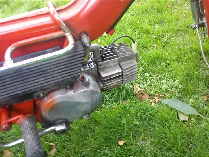 Puch Maxi Byttet billede 9