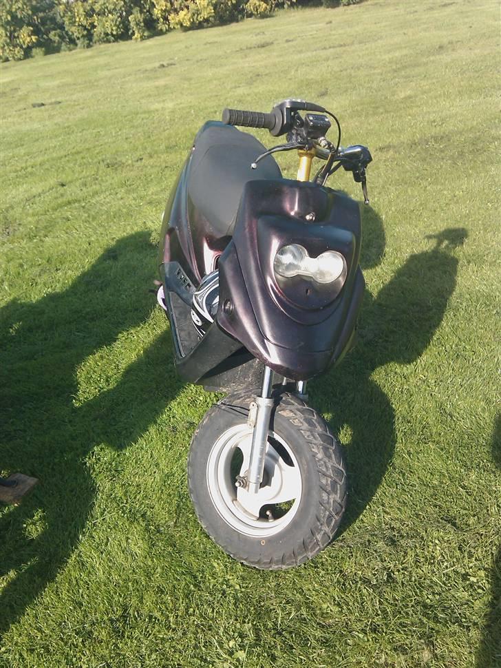 PGO hot50 evo Lang mina bytte billede 1