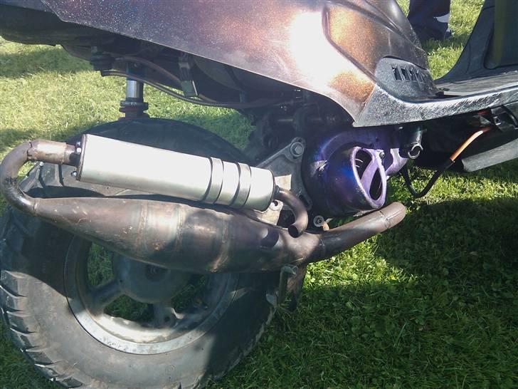 PGO hot50 evo Lang mina bytte billede 3