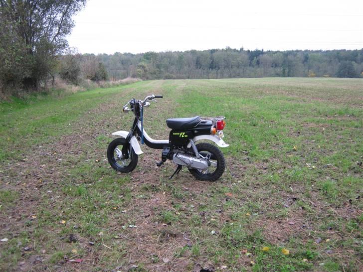 Suzuki FZ 50 ( solgt ) billede 3