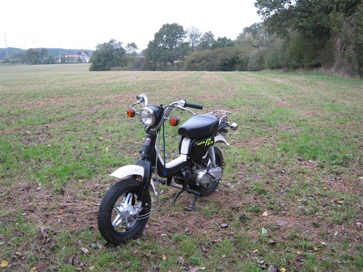 Suzuki FZ 50 ( solgt ) billede 4
