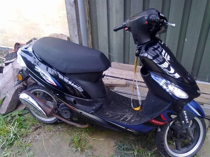 Giantco Sprint Sport billede 1