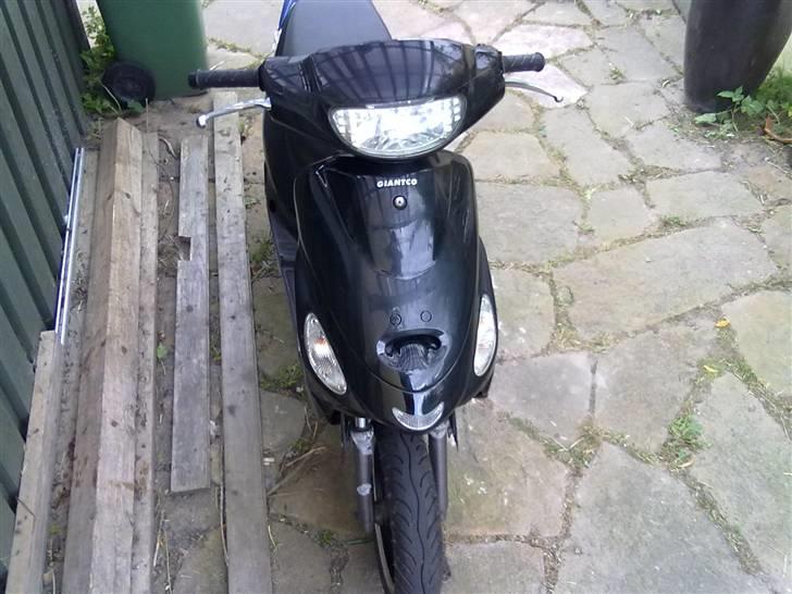 Giantco Sprint Sport billede 4