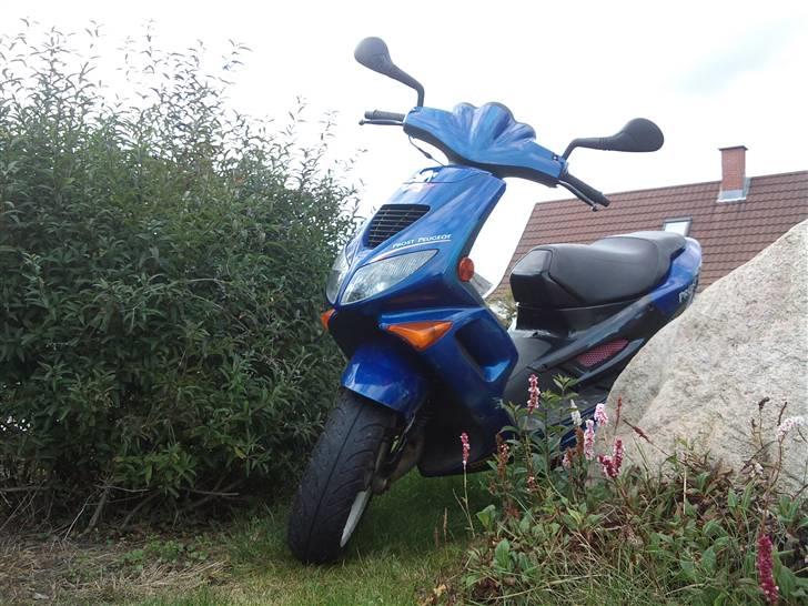 Peugeot Speedfight Prost LC DD  (Solgt) billede 9