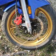 Rieju Matrix Rs2 LC DD ( Efter)