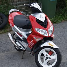 Peugeot speedfight rally victory