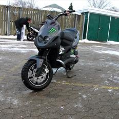 PGO Pmx naked carbon