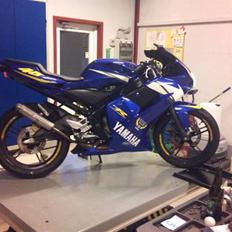 Yamaha tzr limited editionJulie!