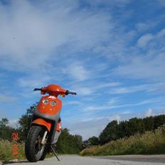 Adly Cat 50 @ Byttet