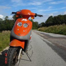 Adly Cat 50 @ Byttet