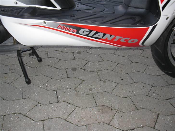 Giantco G 10  billede 11