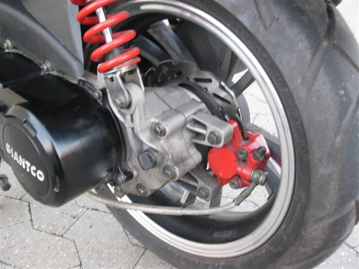 Giantco G 10  billede 14