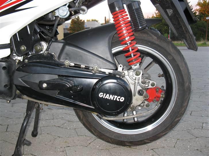 Giantco G 10  billede 15