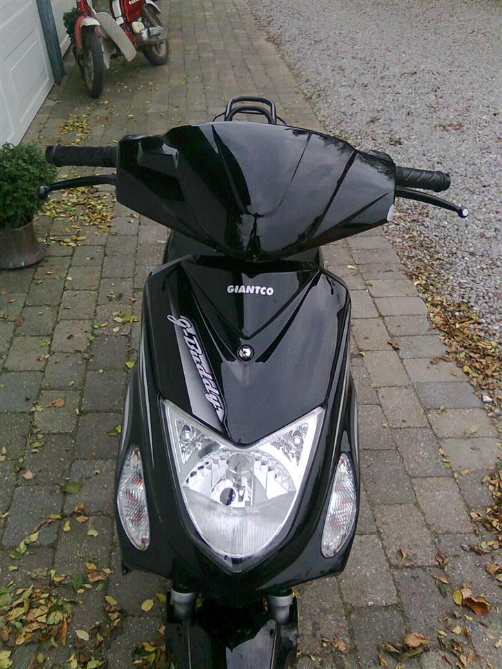 Giantco G-buddy billede 3