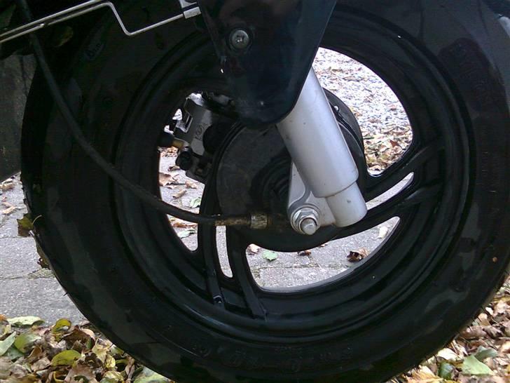 Giantco G-buddy billede 4